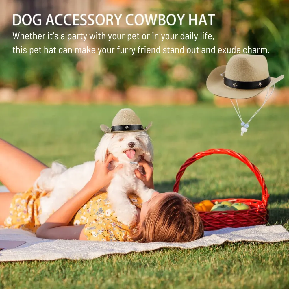 Cat Dog Cowboy Costume