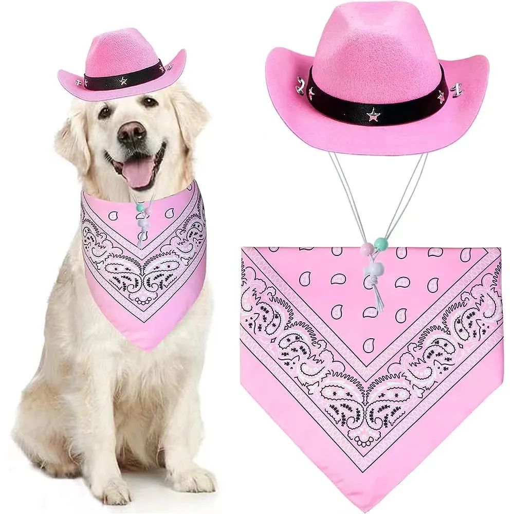  Dog Cowboy Costume