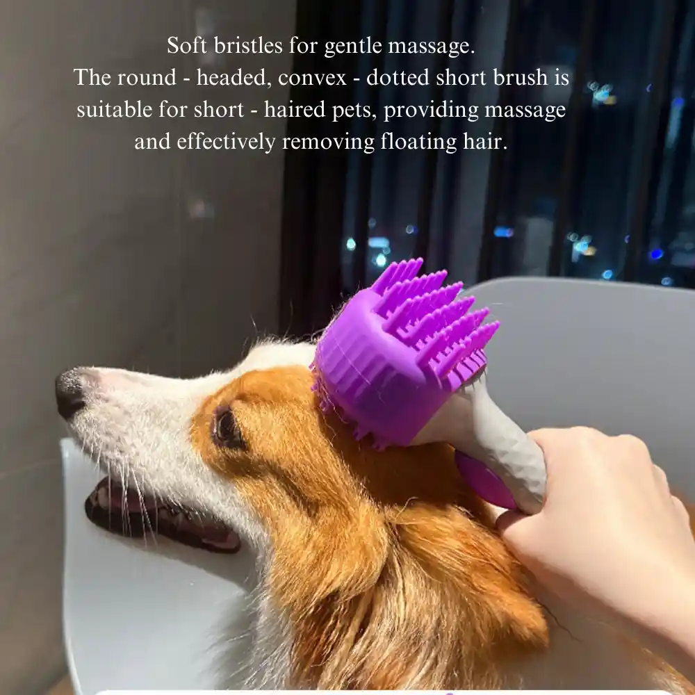 Double Sided Pet Comb Using Scenery