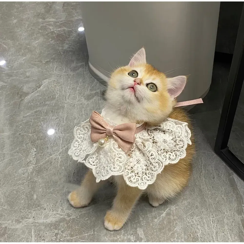 Cute Decorative Cat Bandana Cute Decorative Cat Bandana