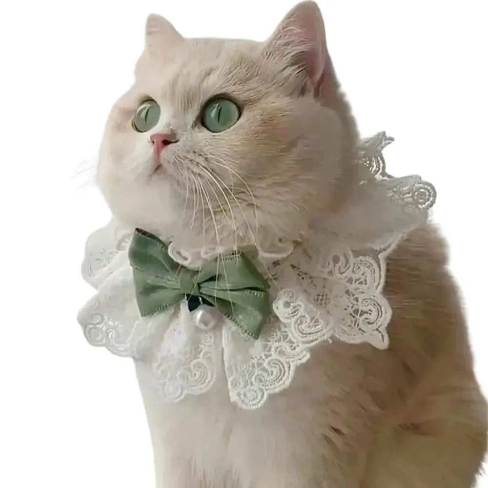 cat bandana cat bandana