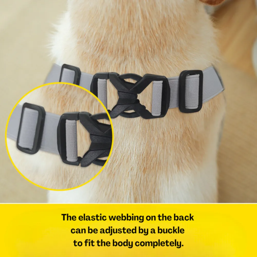 front leg protectibe dog suit