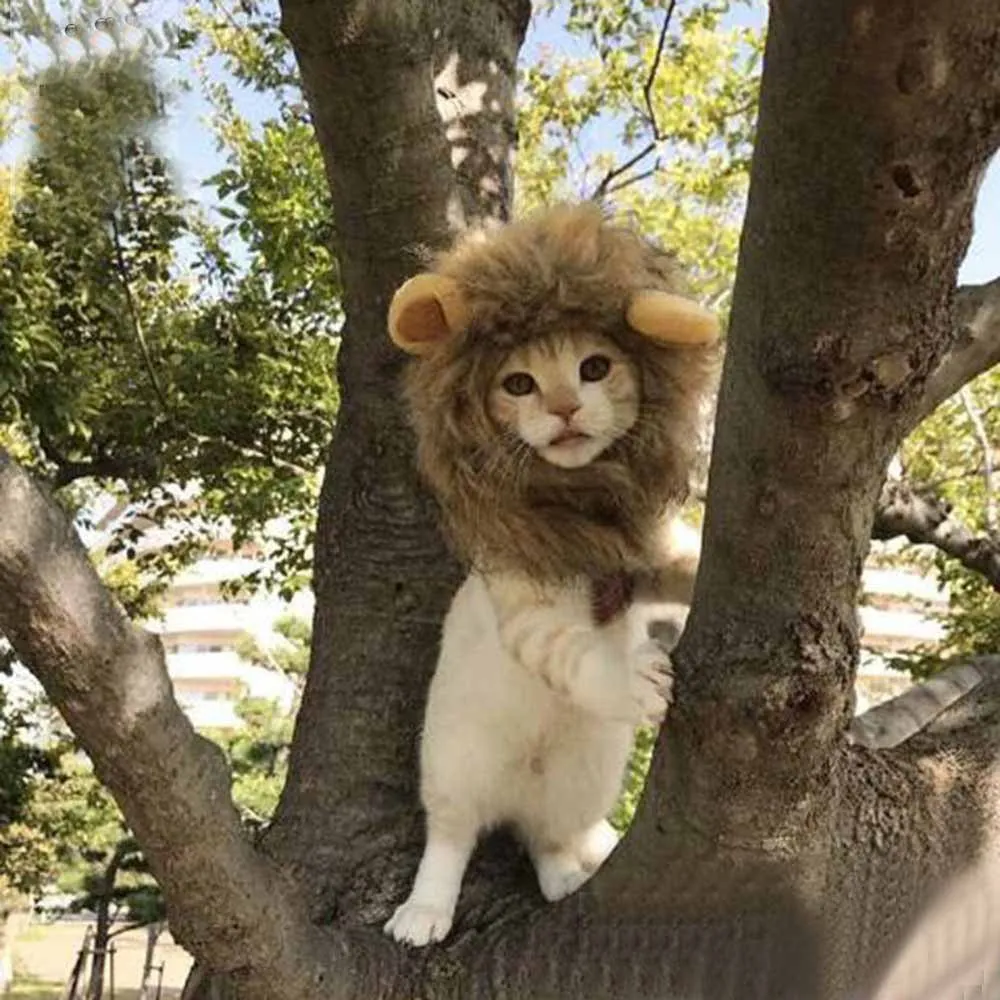 Soft lion costume hat for pets Soft lion costume hat for cats and dogs