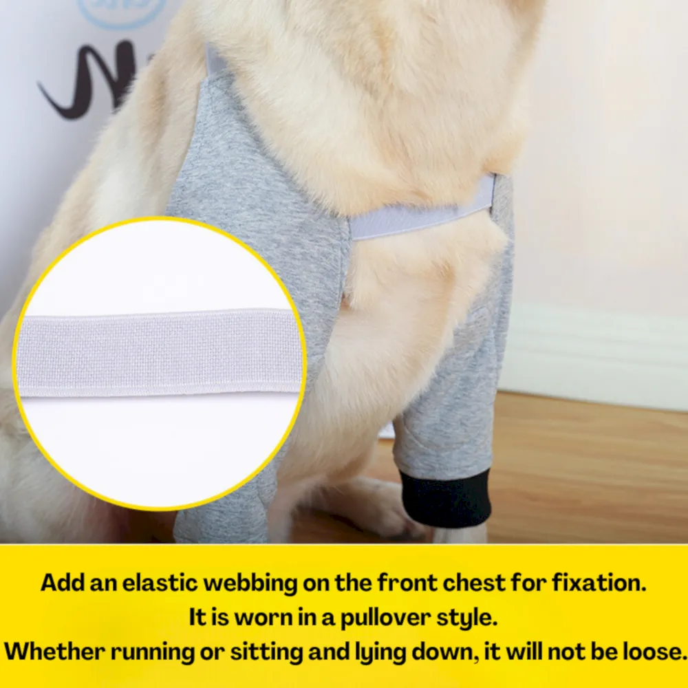 dog recovery suit for front leg surgery
