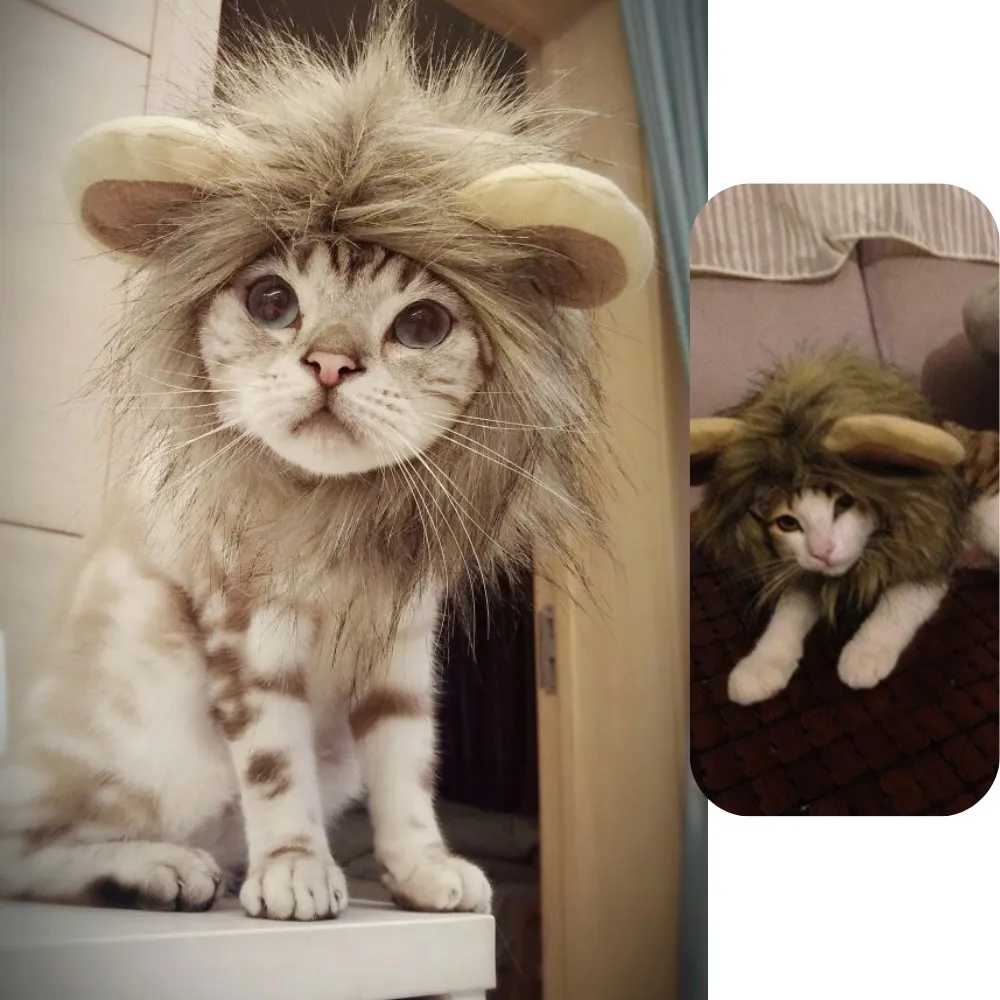Cute lion hat for dogs and cats Fun Halloween hats for small dogs and cats