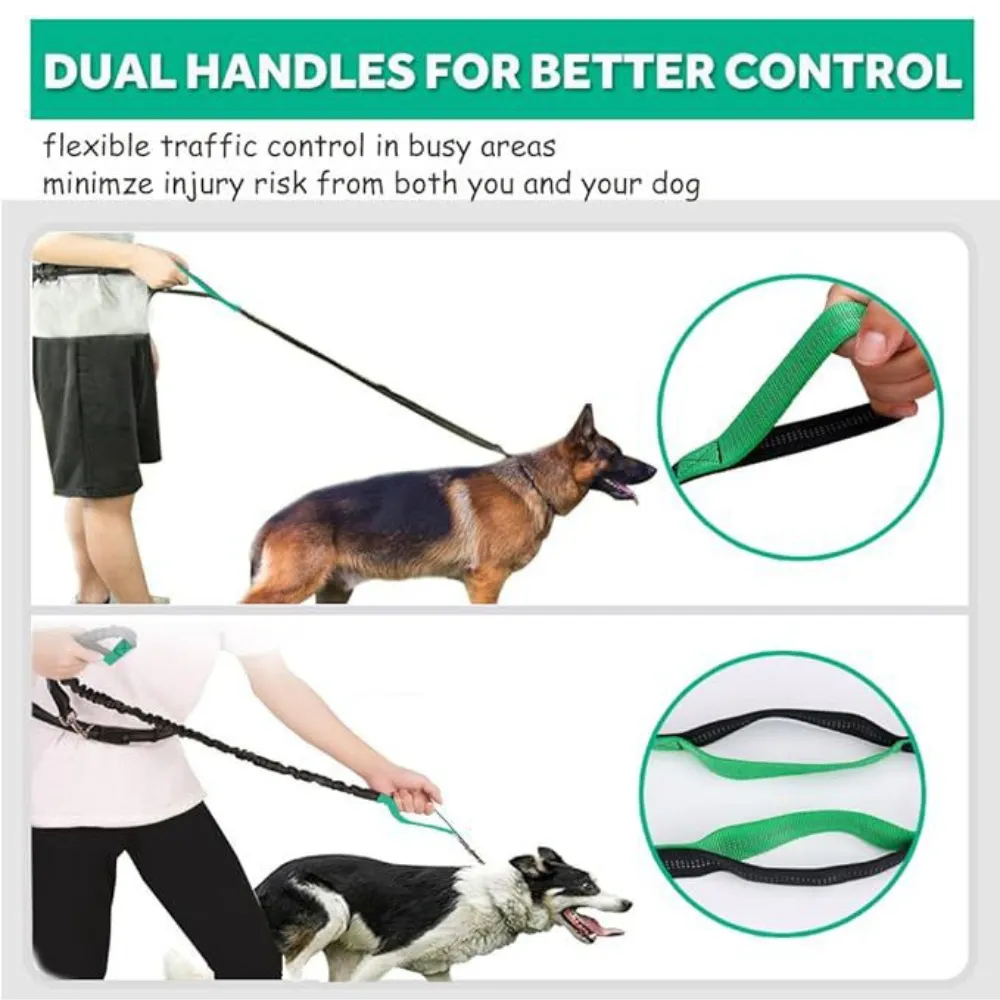 Outdoor Sports Reflective Dog Leash with Bag