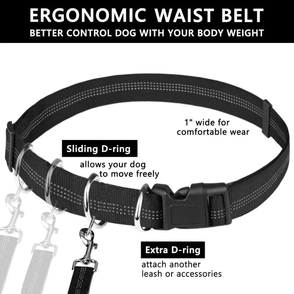 Outdoor Sports Reflective Dog Leash with Bag