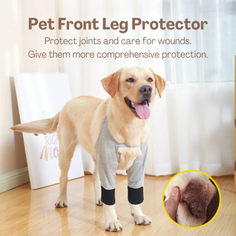 dog recovery suit for leg surgery