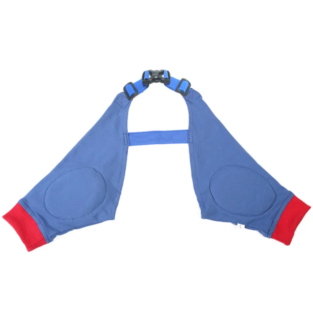 blue dog recovery suit
