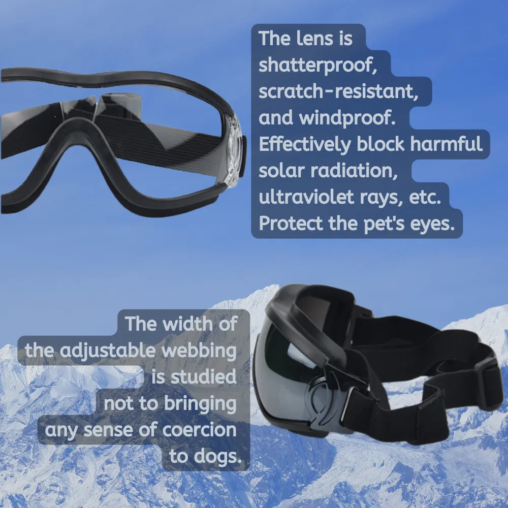 Stylish pet sunglasses for dogs