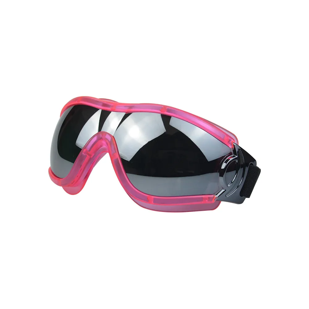 Pet eyewear for travel and road trips
