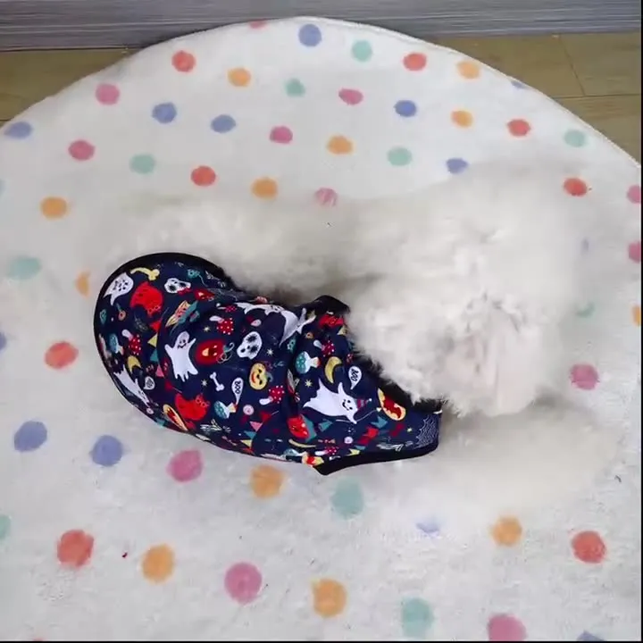 Small breed dog apparel for dogs