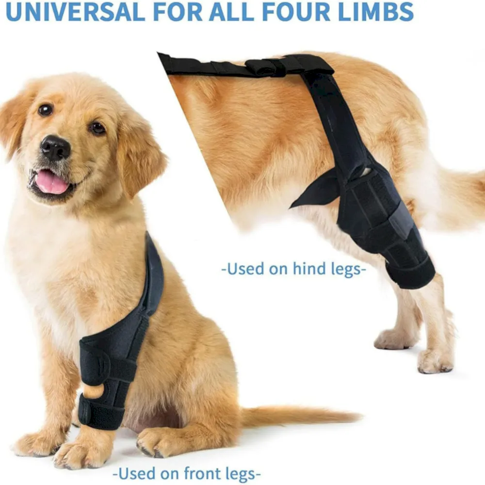 Recovery dog knee brace