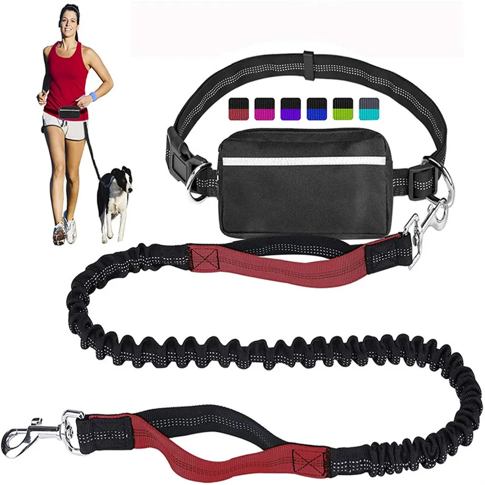 Outdoor Sports Reflective Dog Leash with Bag