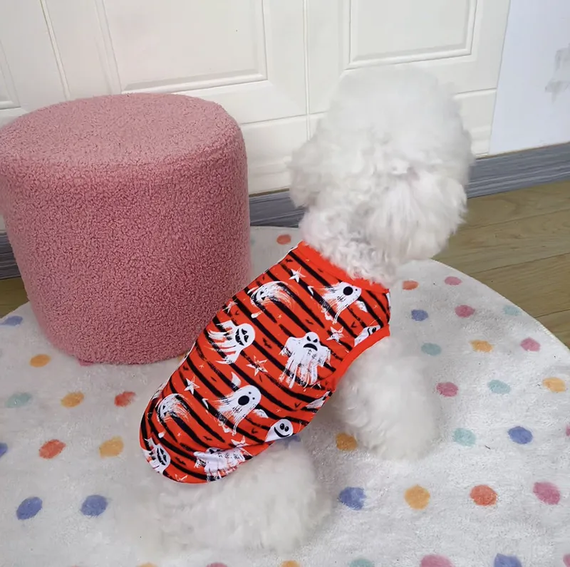 Teddy dog Halloween clothes festival