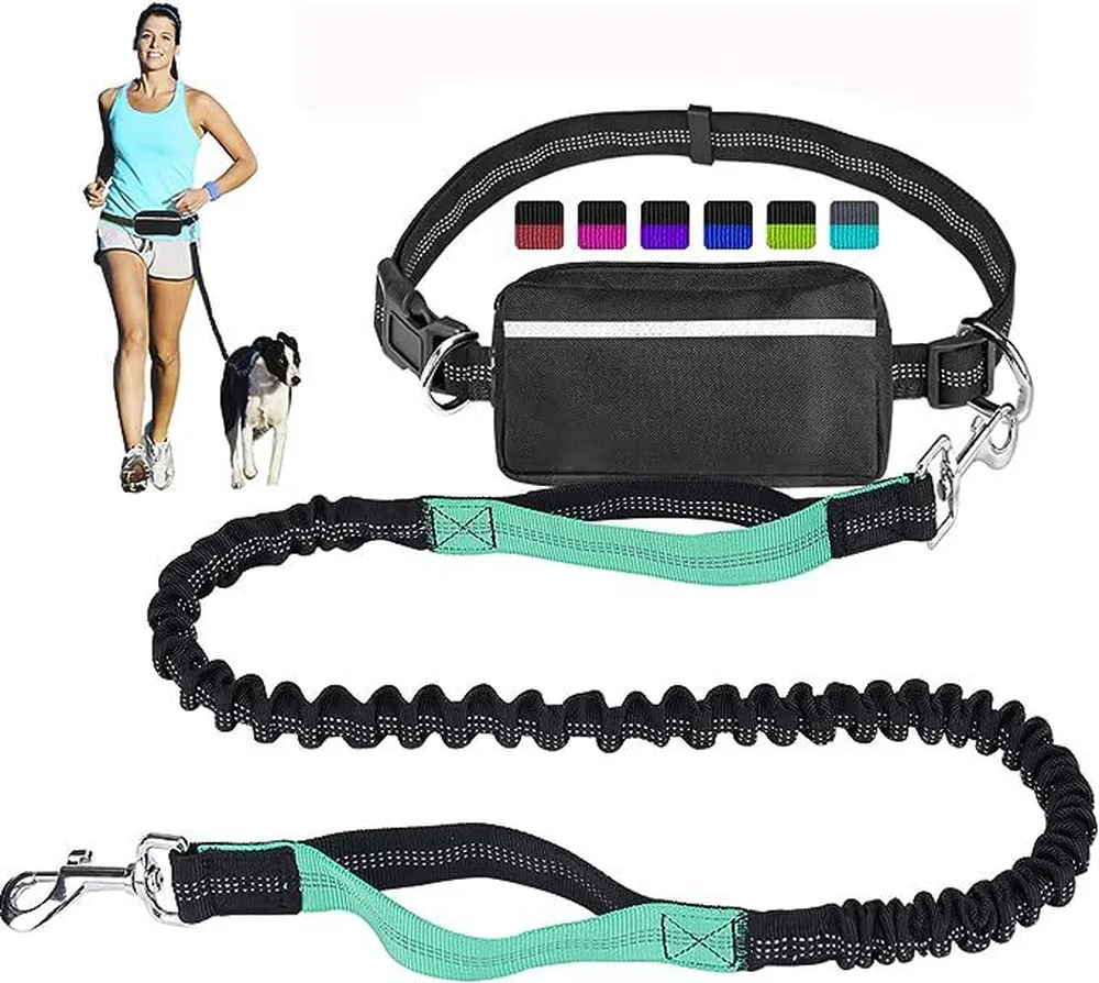 Outdoor Sports Reflective Dog Leash with Bag