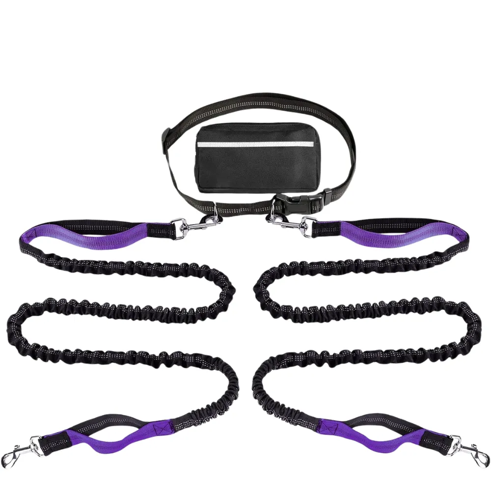 Outdoor Sports Reflective Dog Leash with Bag