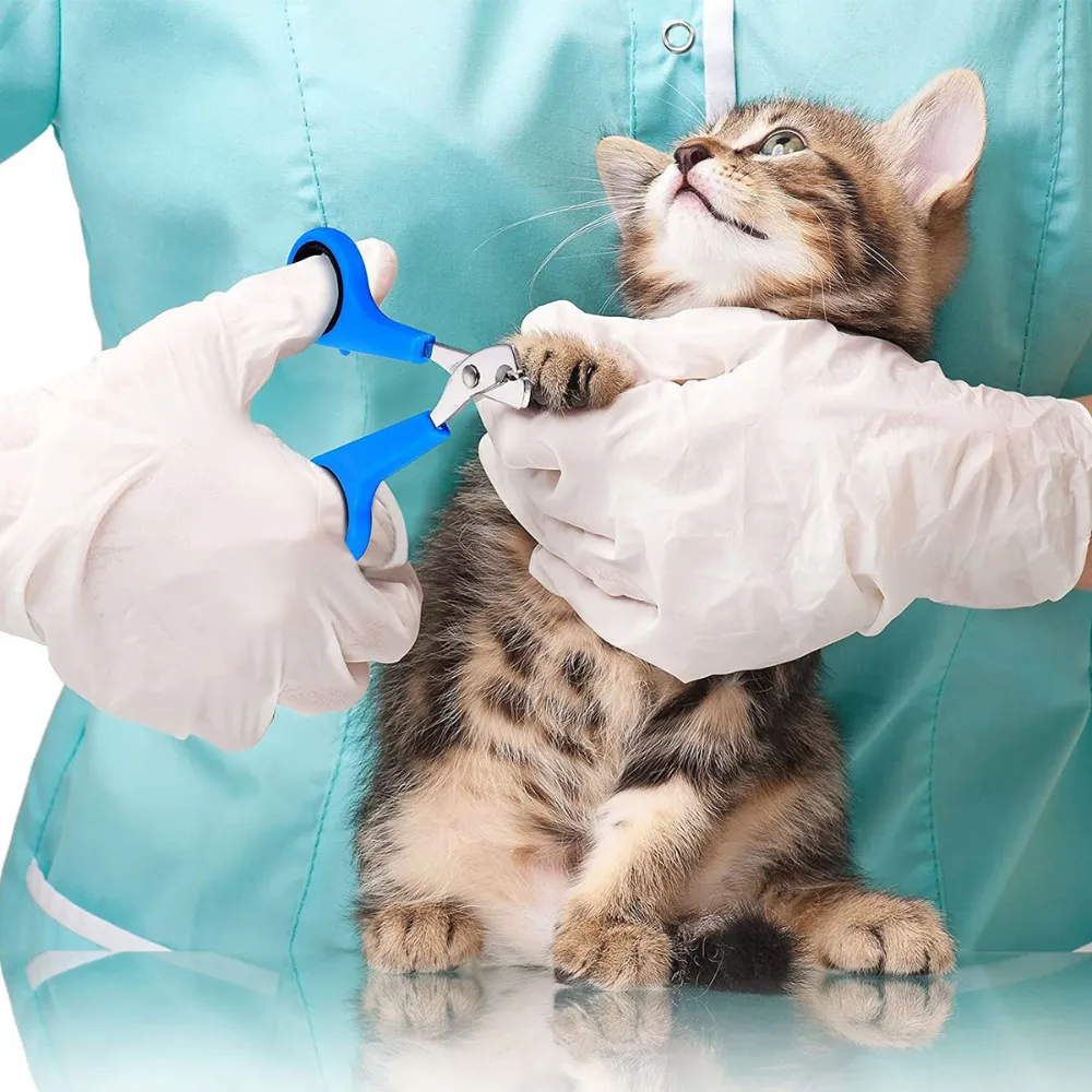 Nail clippers for cats Nail clippers for cats using