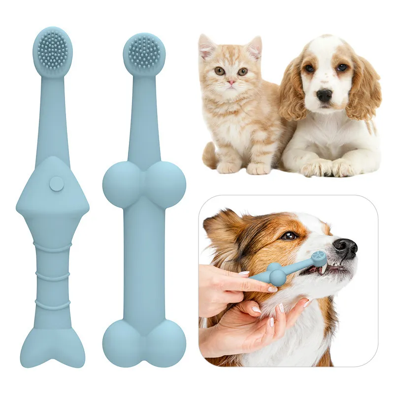 Effective pet teeth cleaning