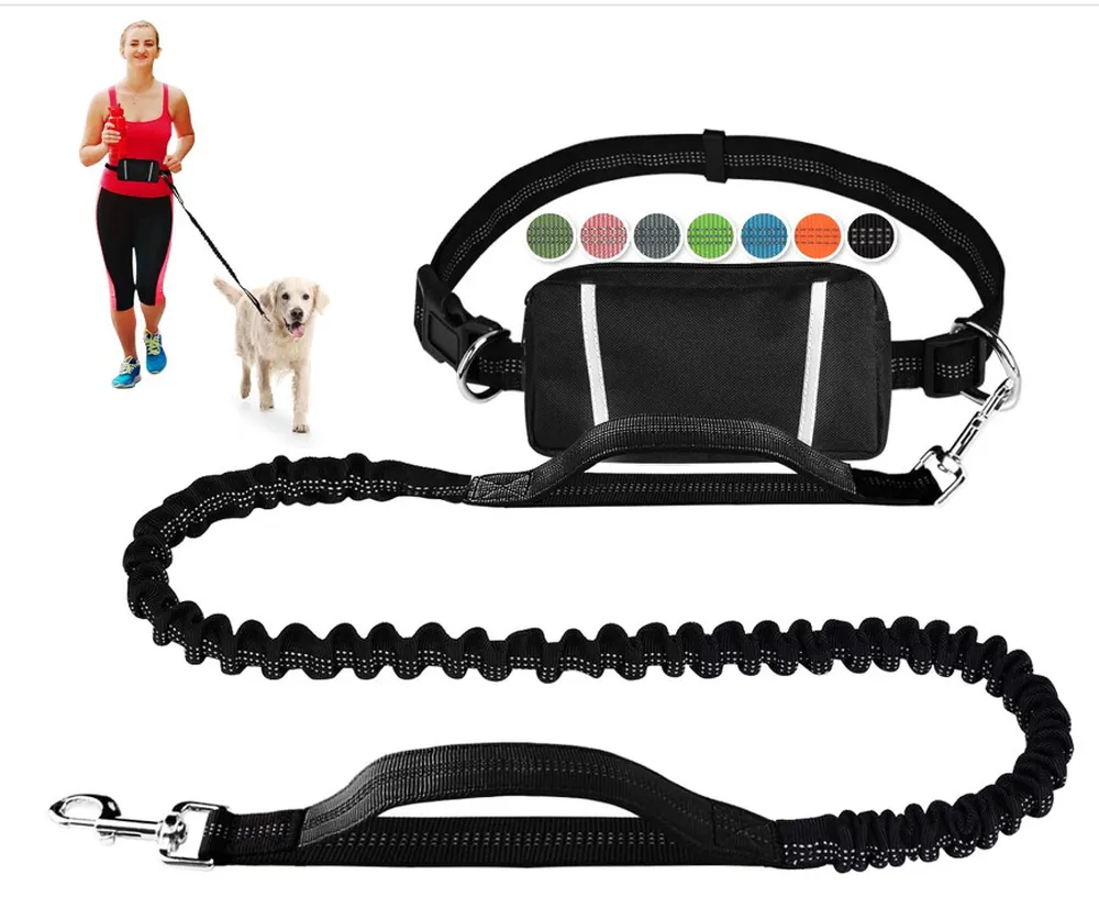 Outdoor Sports Reflective Dog Leash with Bag