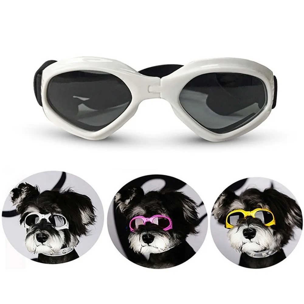 Pet sunglasses for dogs.