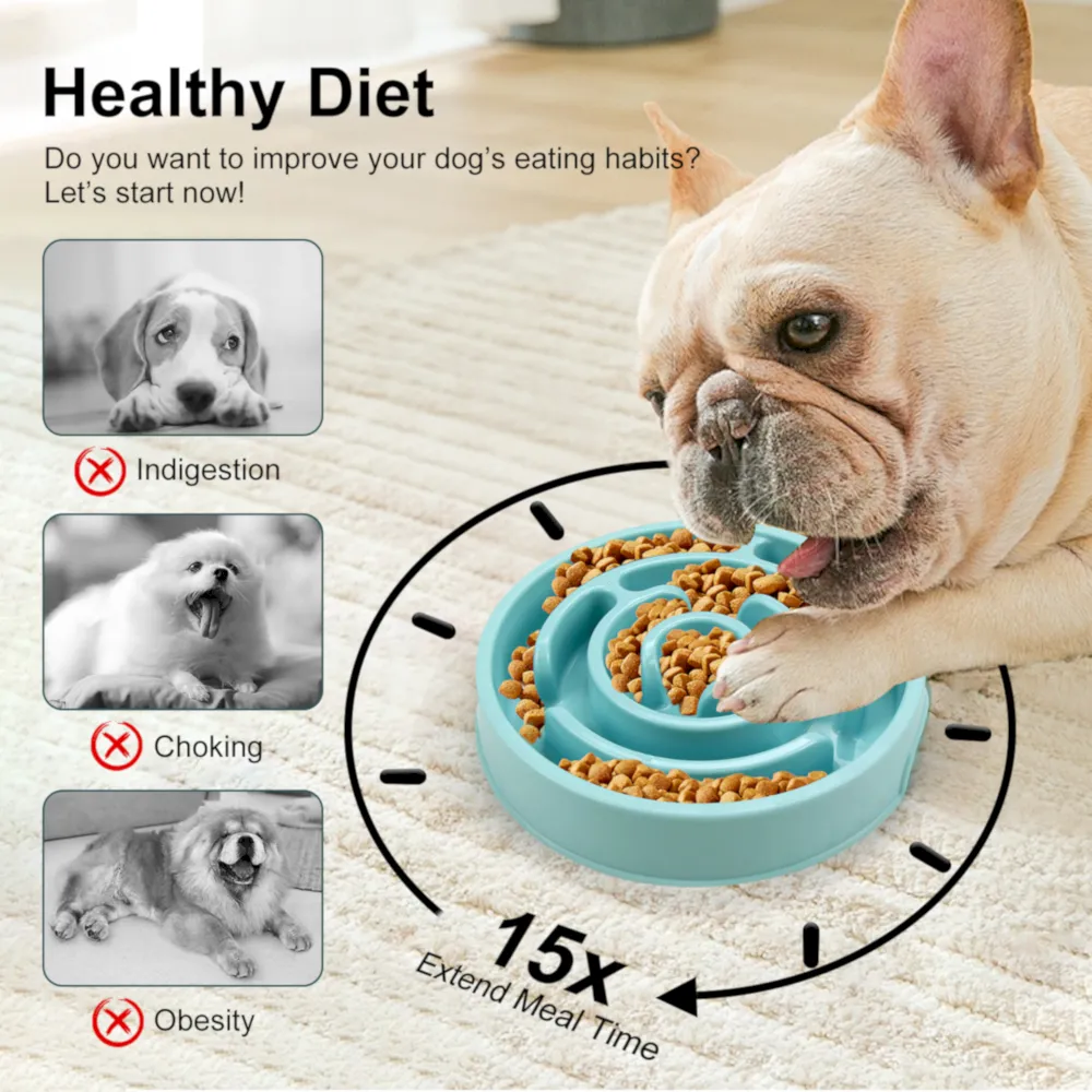 puzzle pet bowls