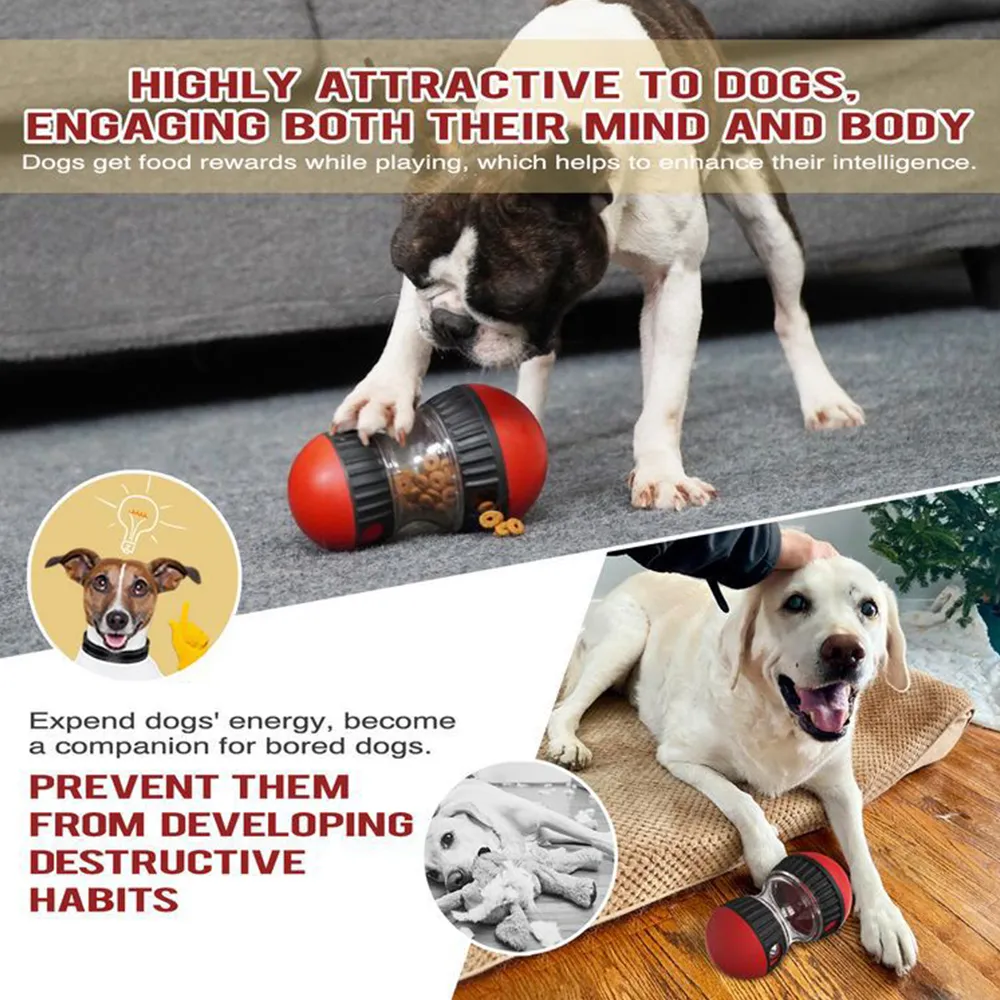 Slow eating training tool Pet feeding ball