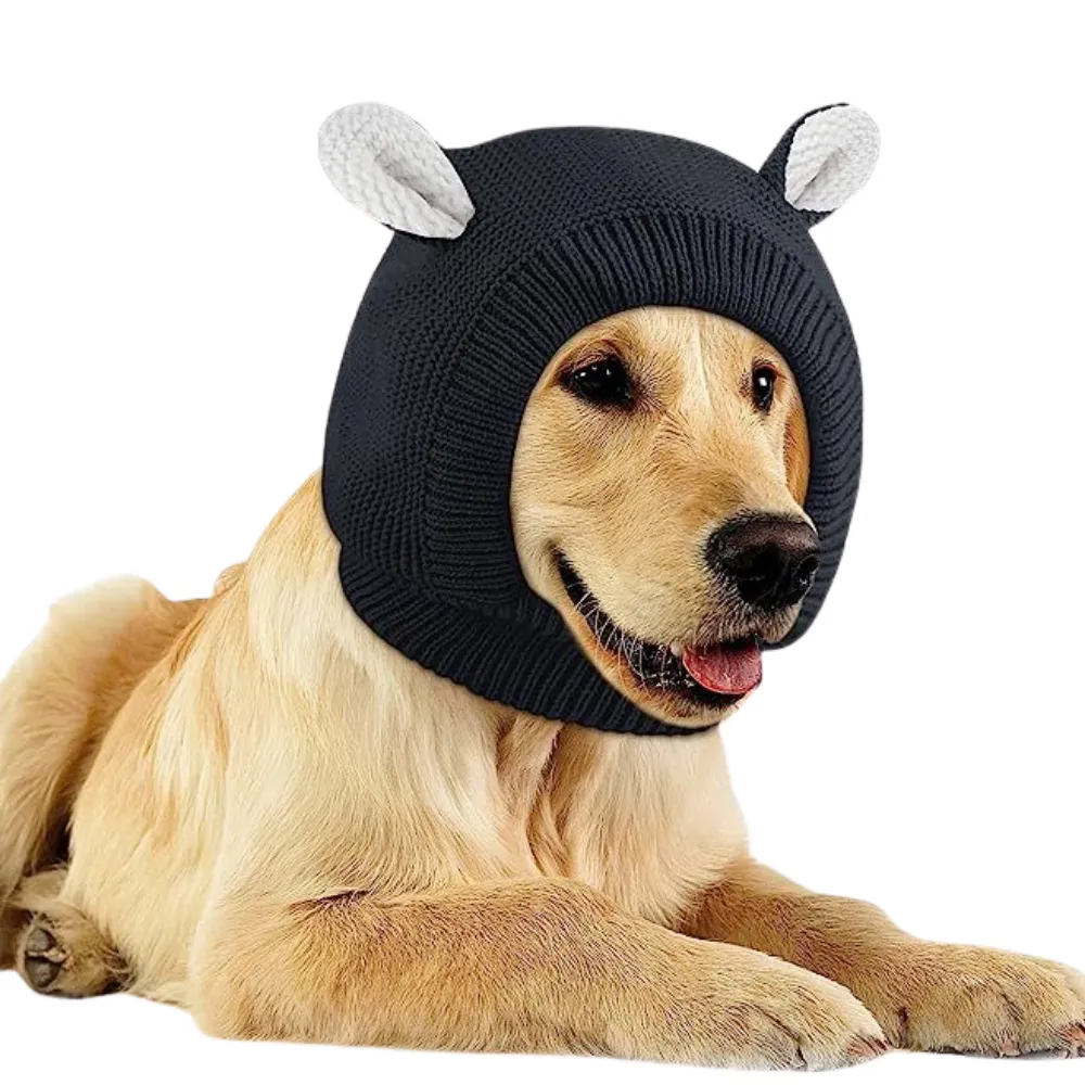 Black Dog Hat
