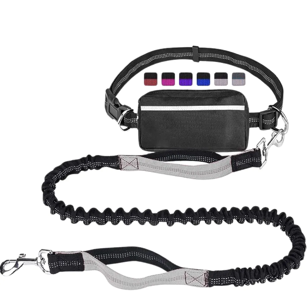 Outdoor Sports Reflective Dog Leash with Bag