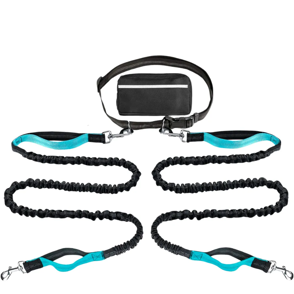 Outdoor Sports Reflective Dog Leash with Bag