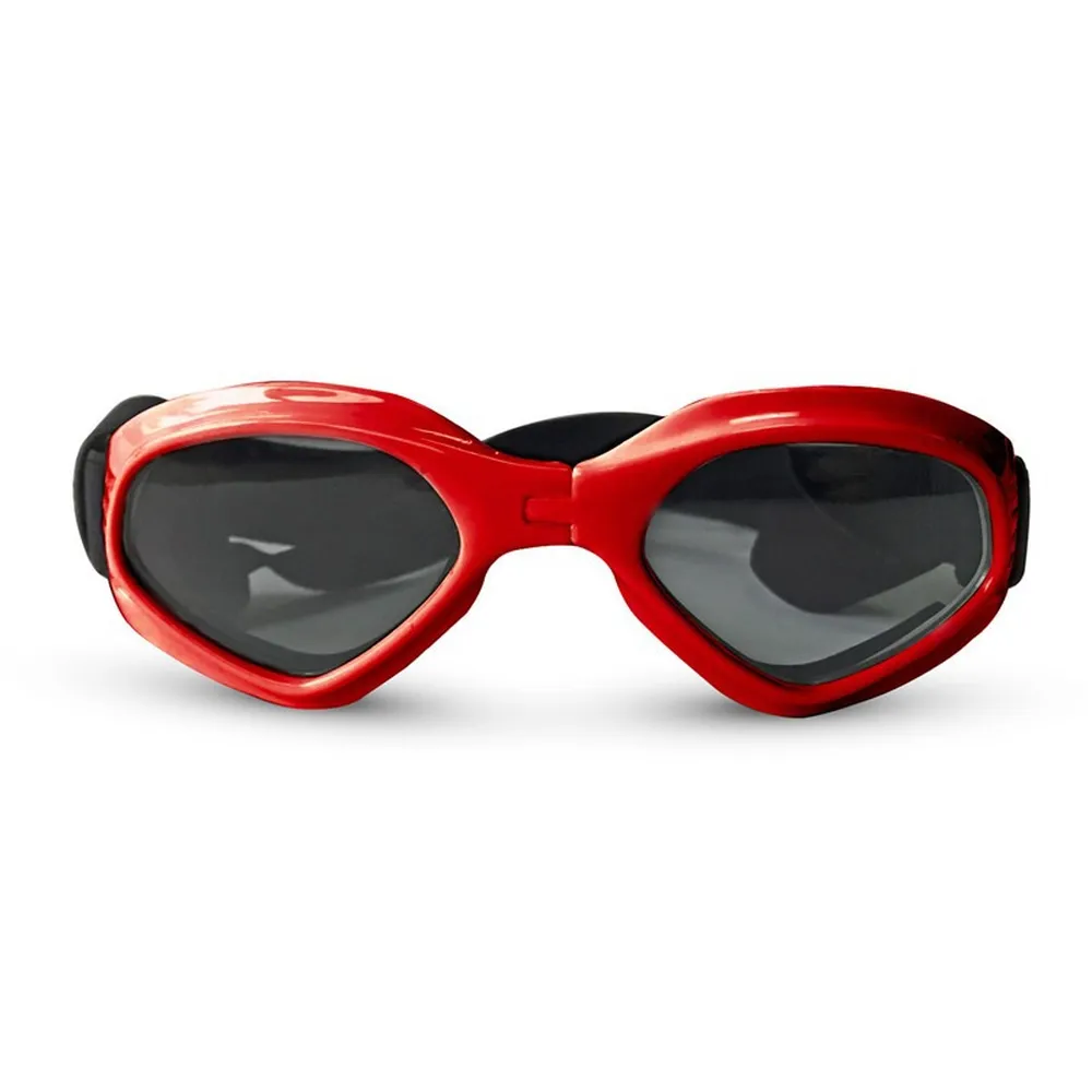 Lightweight pet eyewear for sunny days.
