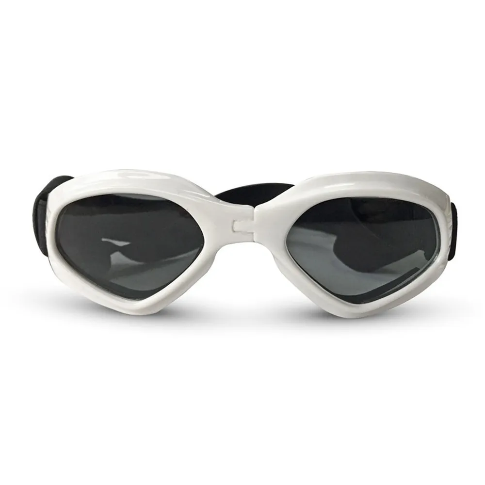 Pet sunglasses for photo shoots and outings.