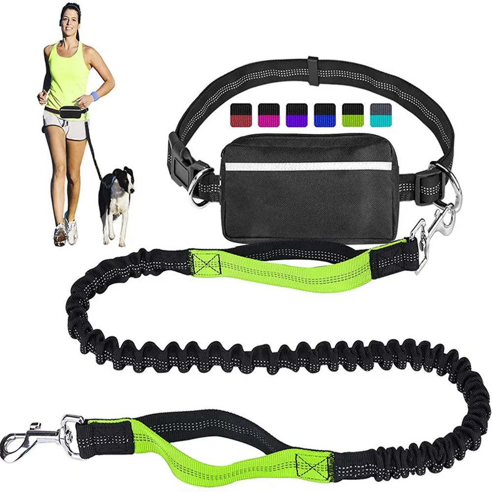Outdoor Sports Reflective Dog Leash with Bag