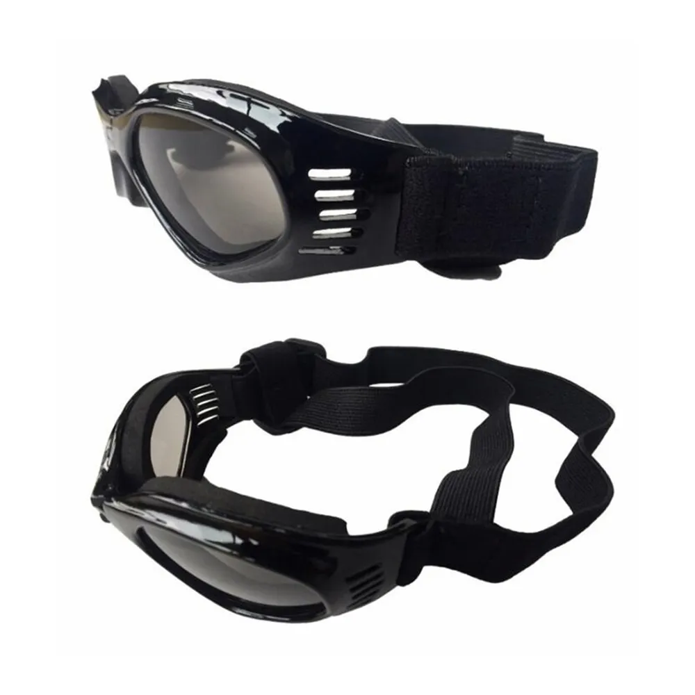 Sunglasses for small pets.