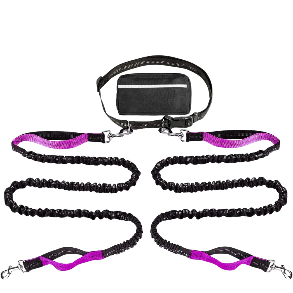 Outdoor Sports Reflective Dog Leash with Bag