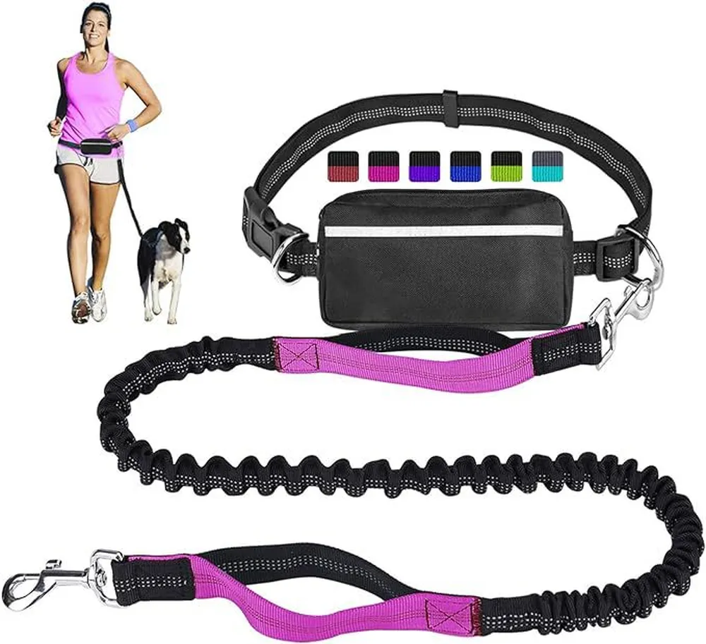 Outdoor Sports Reflective Dog Leash with Bag