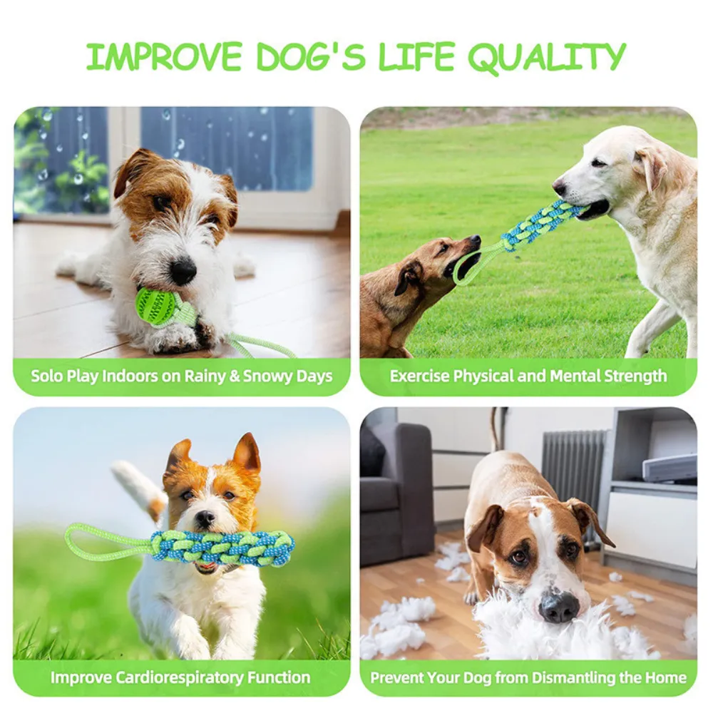dog bungee toys