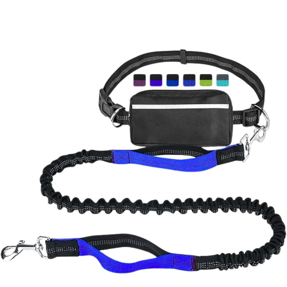 Outdoor Sports Reflective Dog Leash with Bag