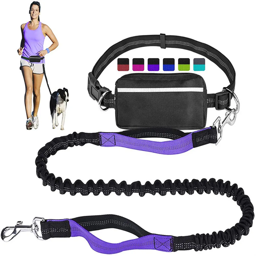 Outdoor Sports Reflective Dog Leash with Bag