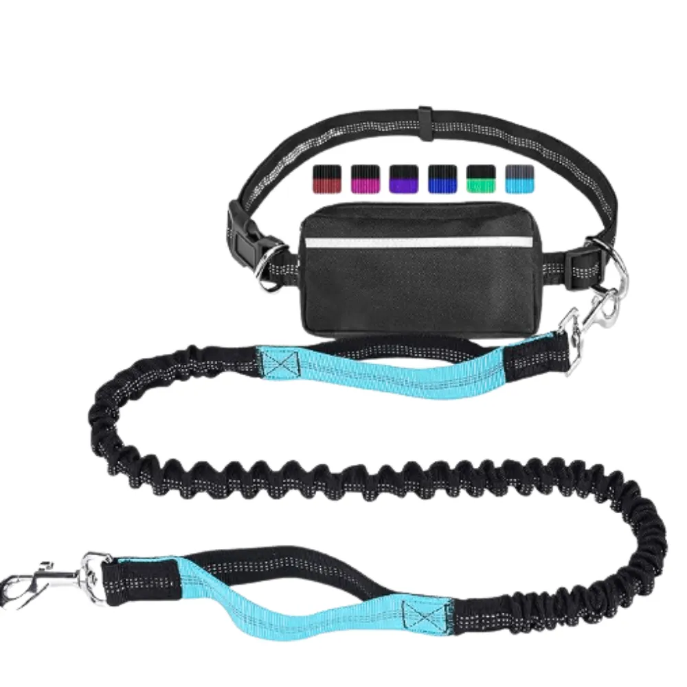 Outdoor Sports Reflective Dog Leash with Bag