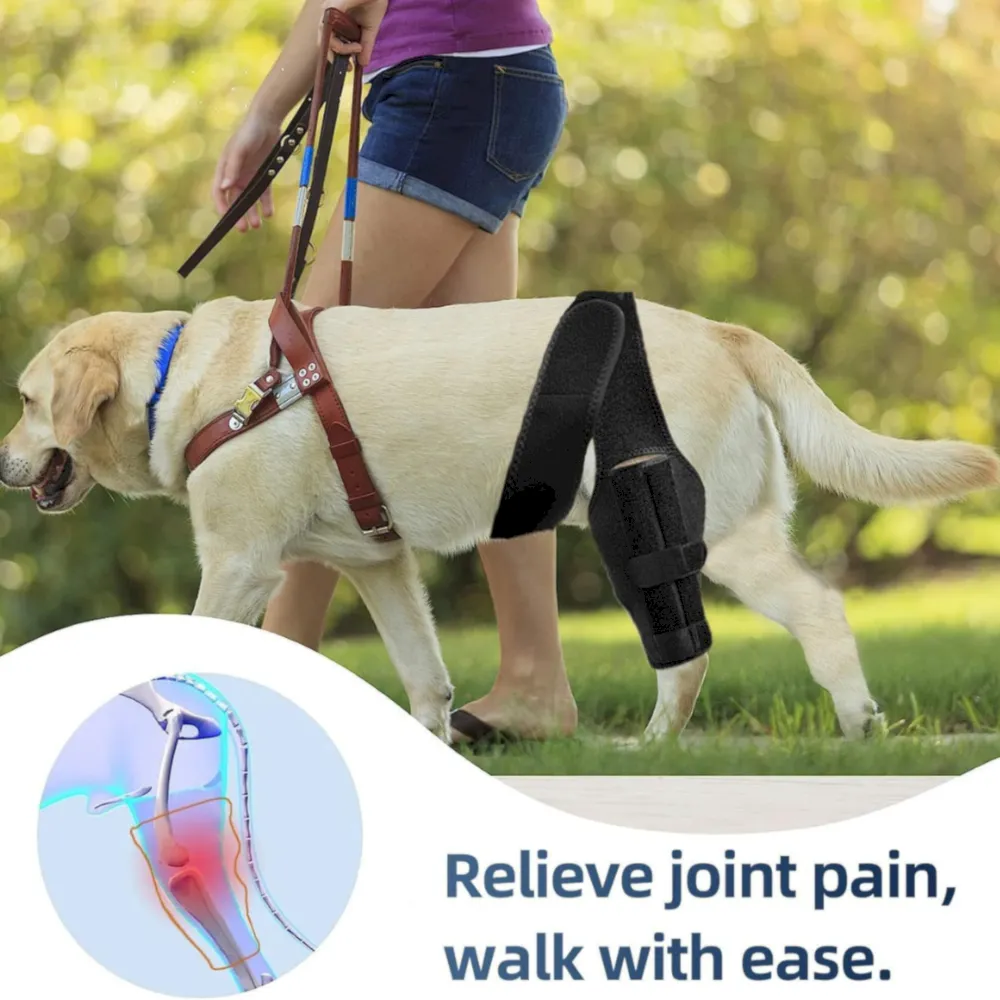 dog knee brace for acl injury