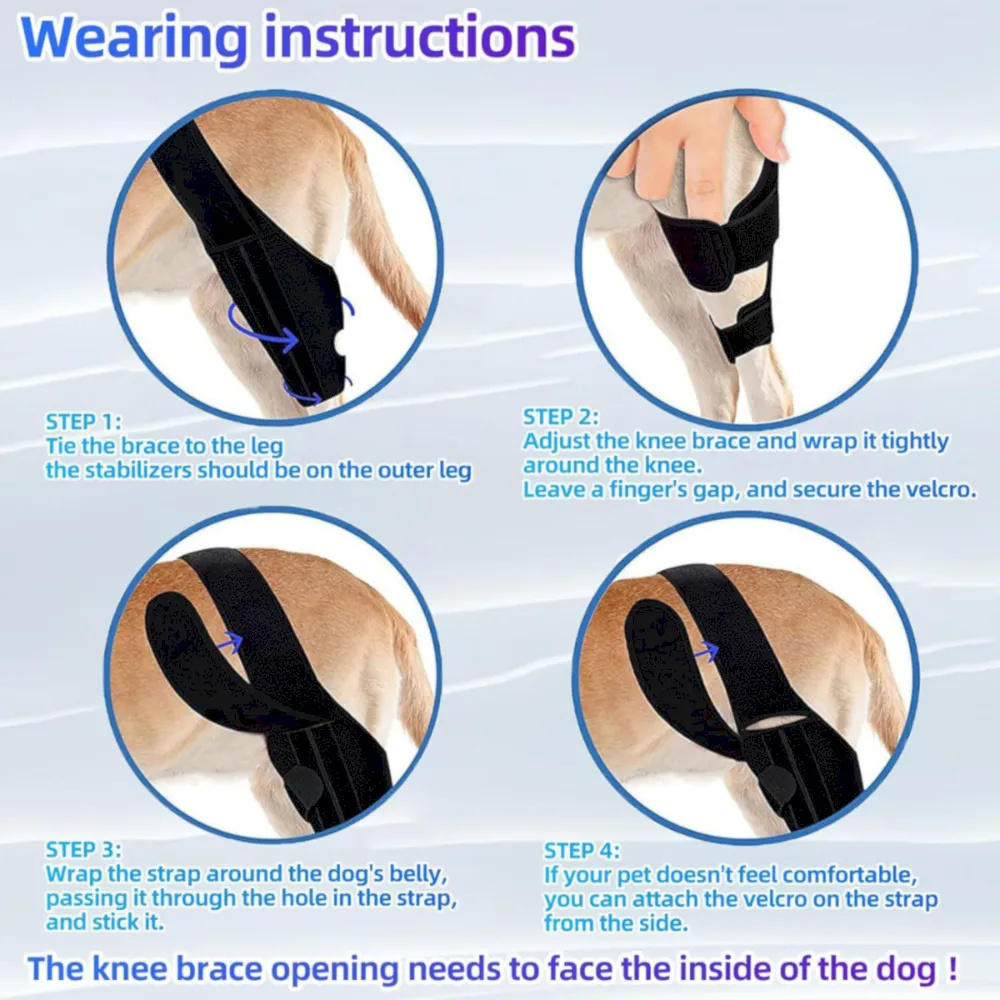 Leg Recovery dog knee brace