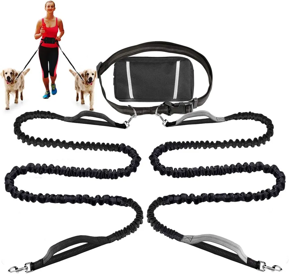 Outdoor Sports Reflective Dog Leash with Bag
