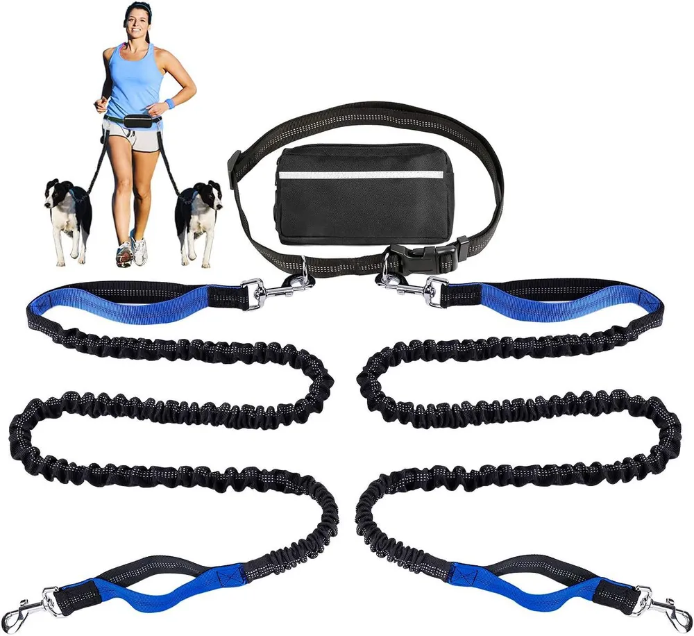 Outdoor Sports Reflective Dog Leash with Bag