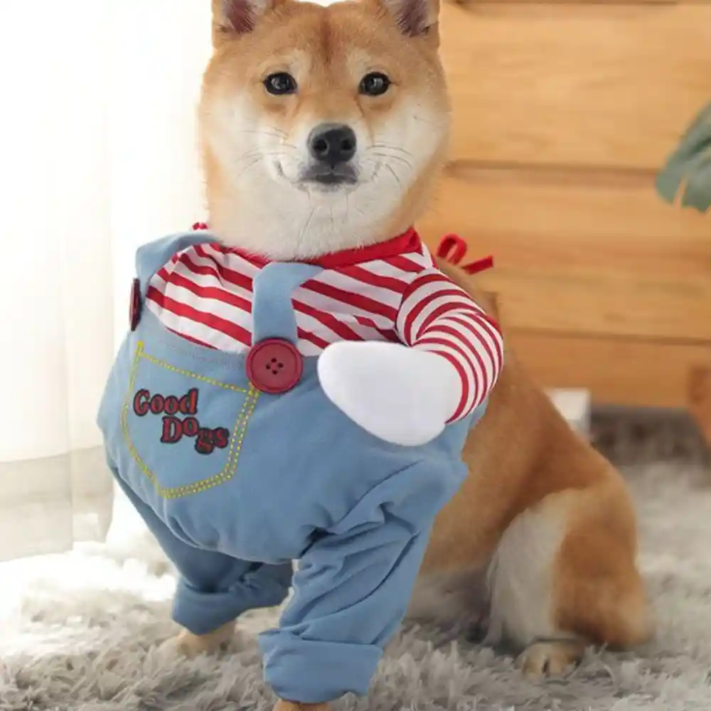 Cute Dog Party Costume