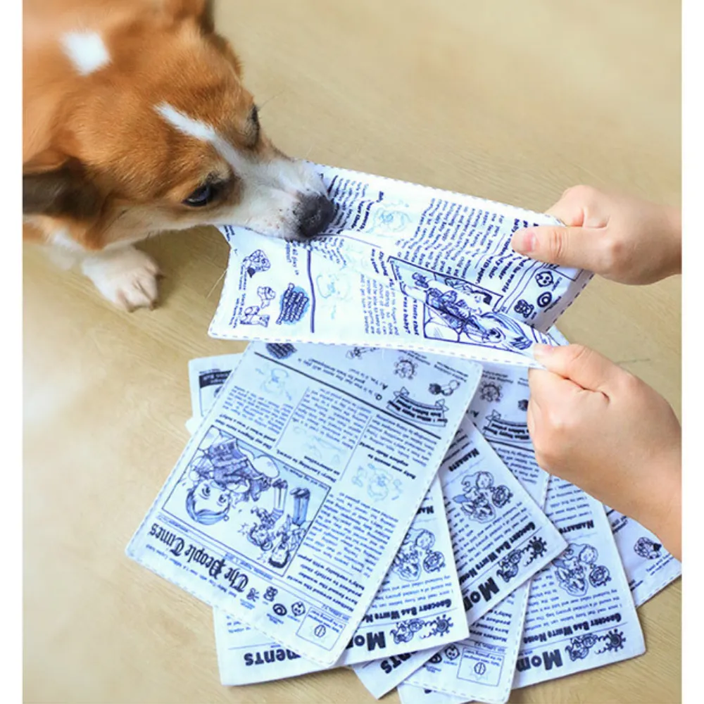 Play Crinkle Dog Toys