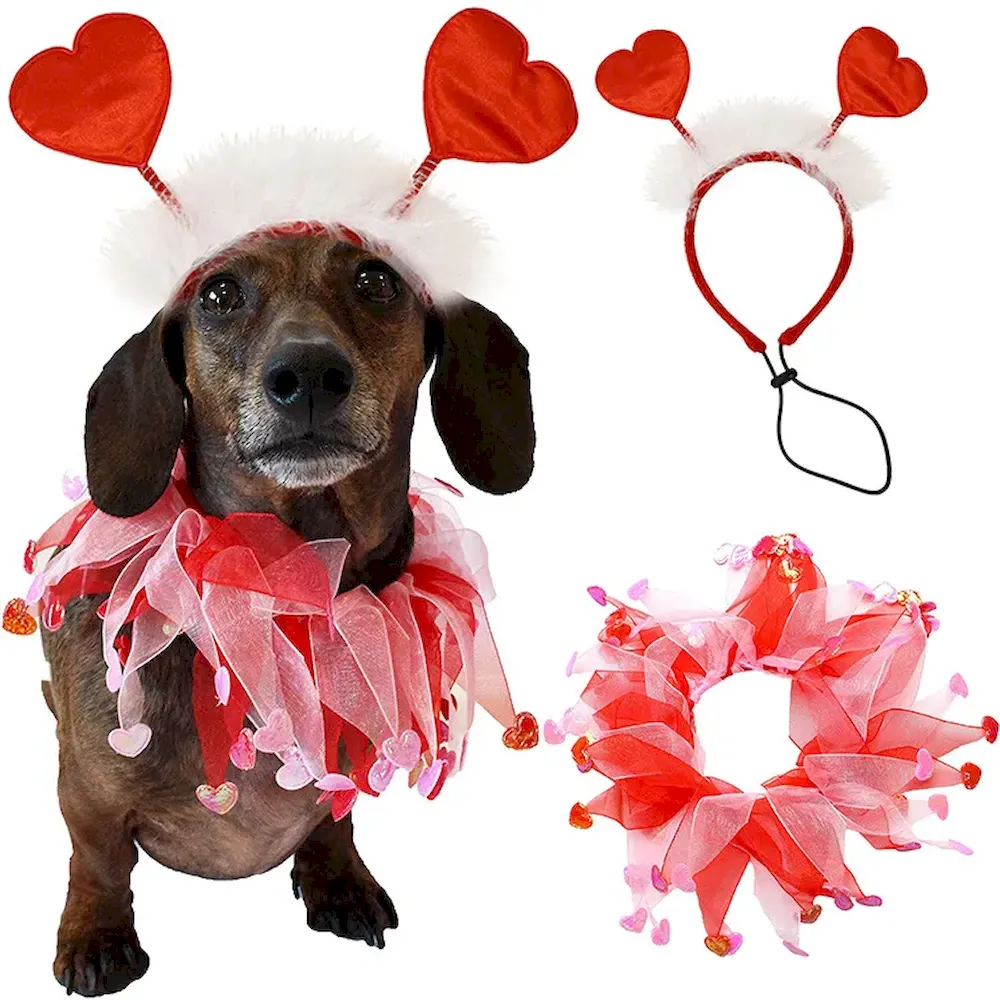 Wholesale pet holiday accessories