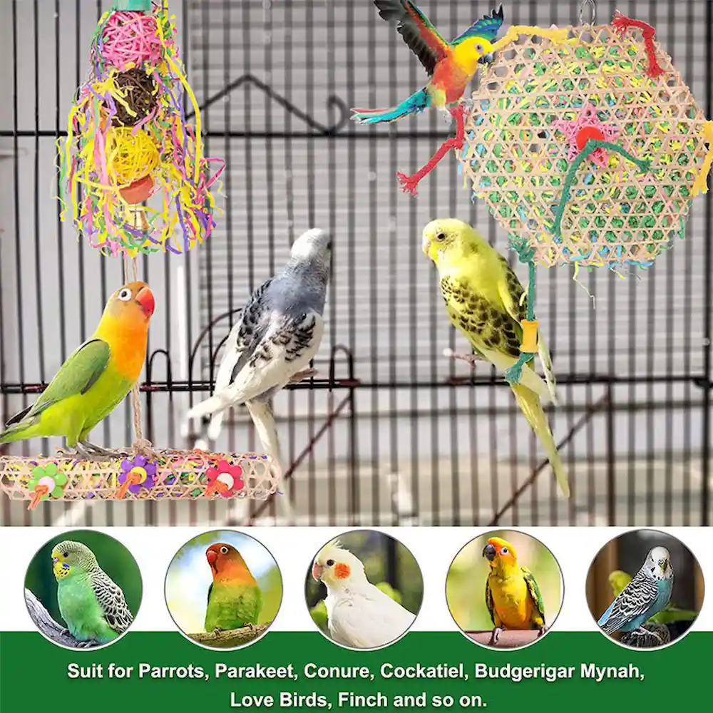Bird Parrot Toy Manufacturer