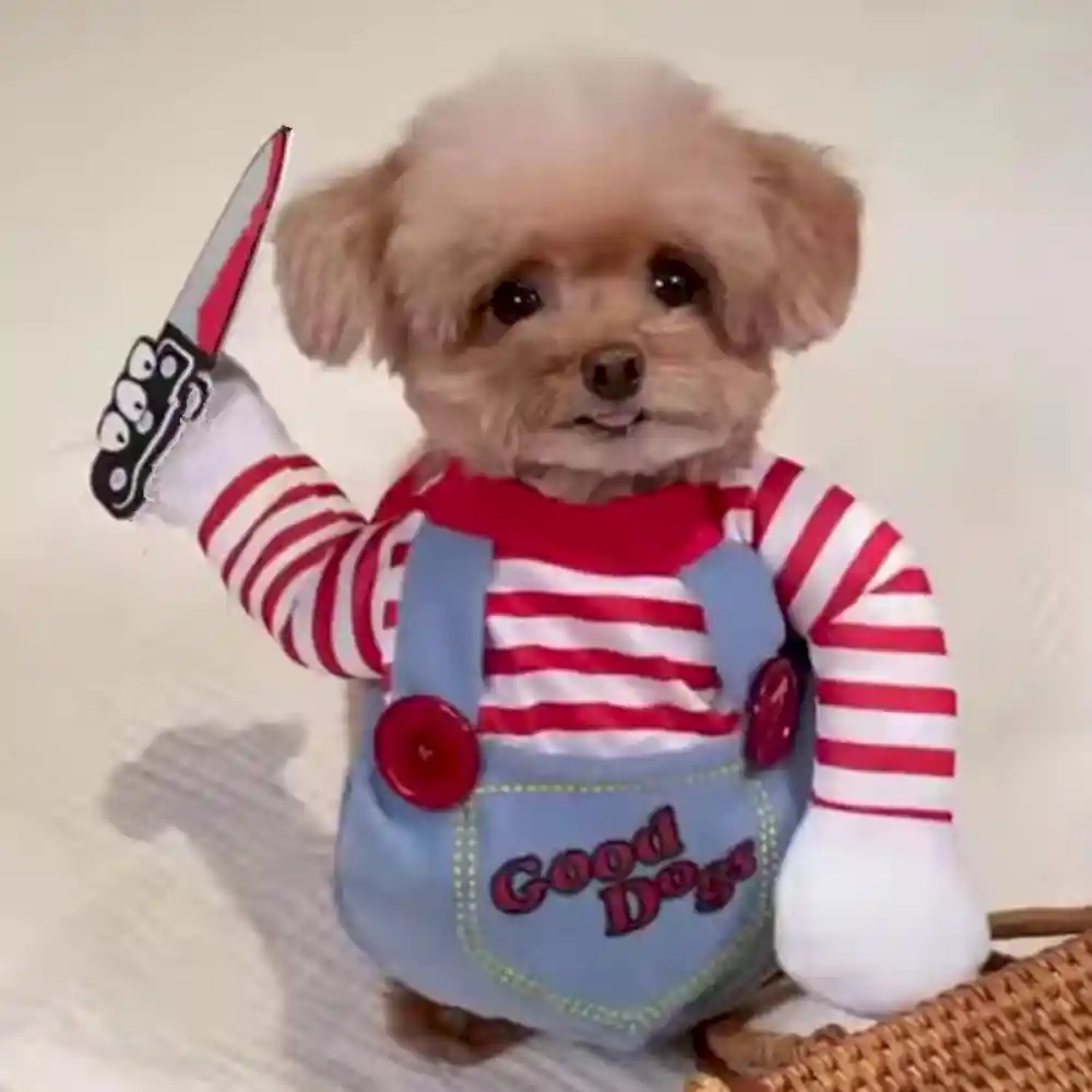 Dog Party Costume Suppliers