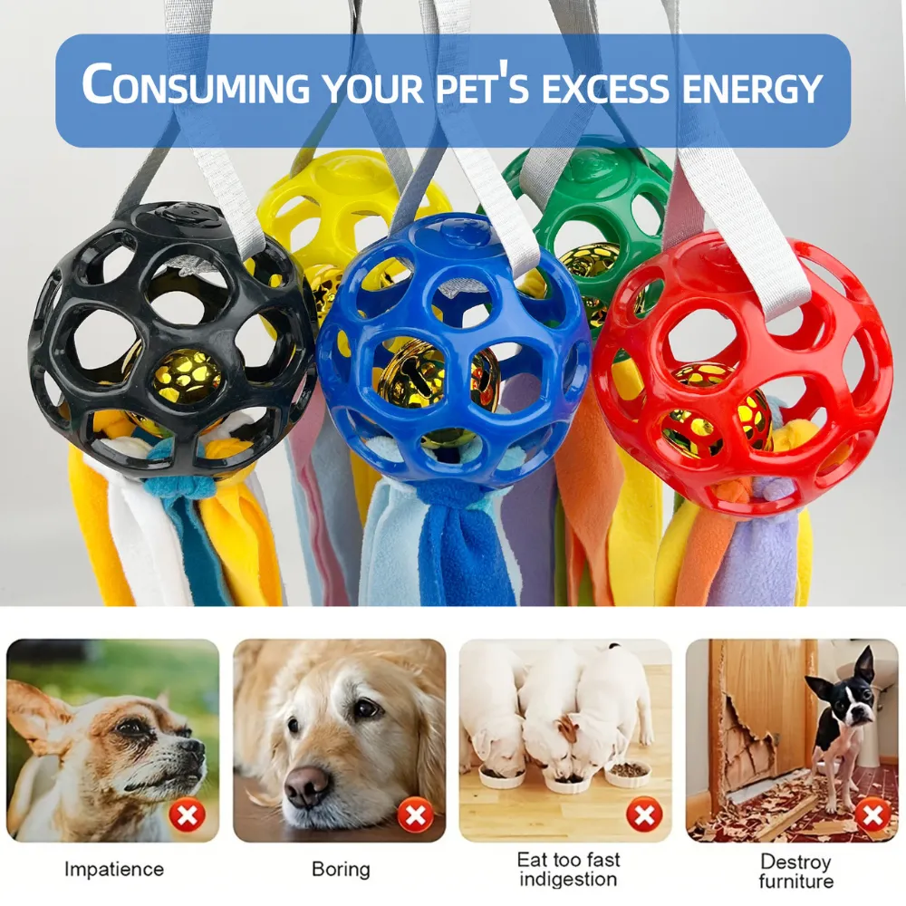 Engaging Toy for Dogs Sourcing